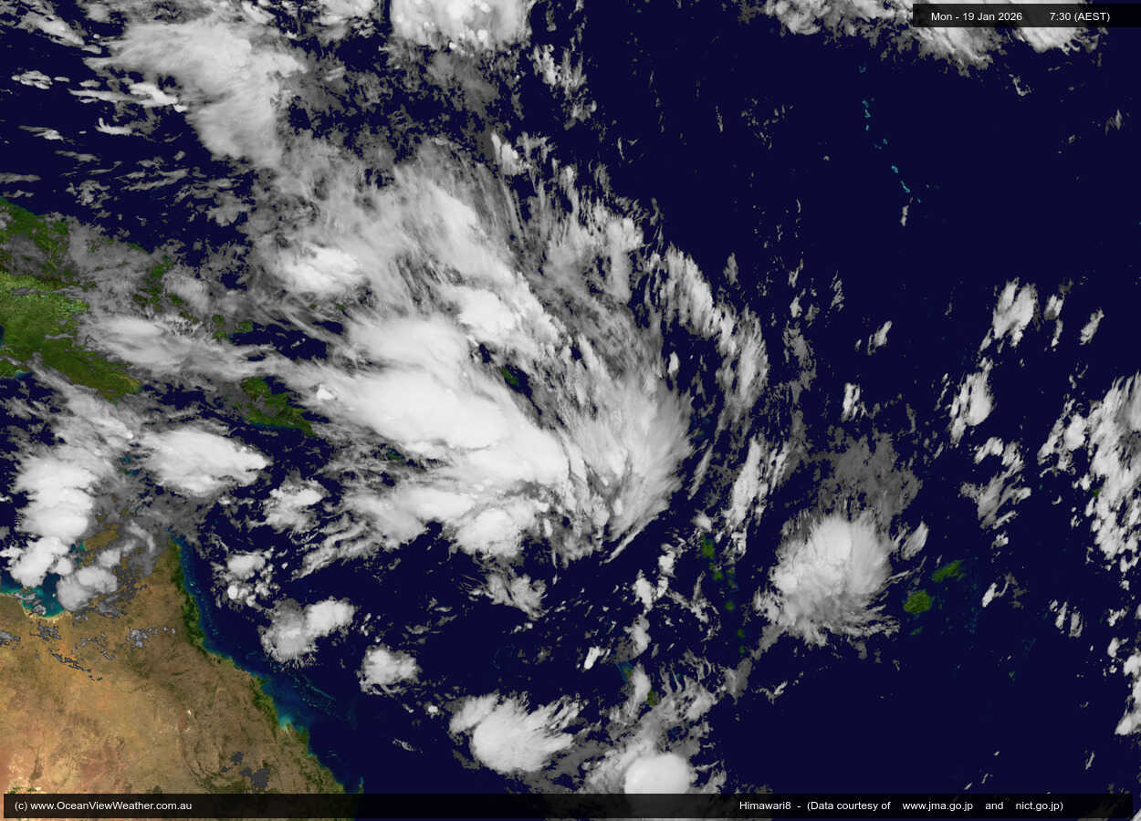 Coral Sea19-01-2026-0734.jpg