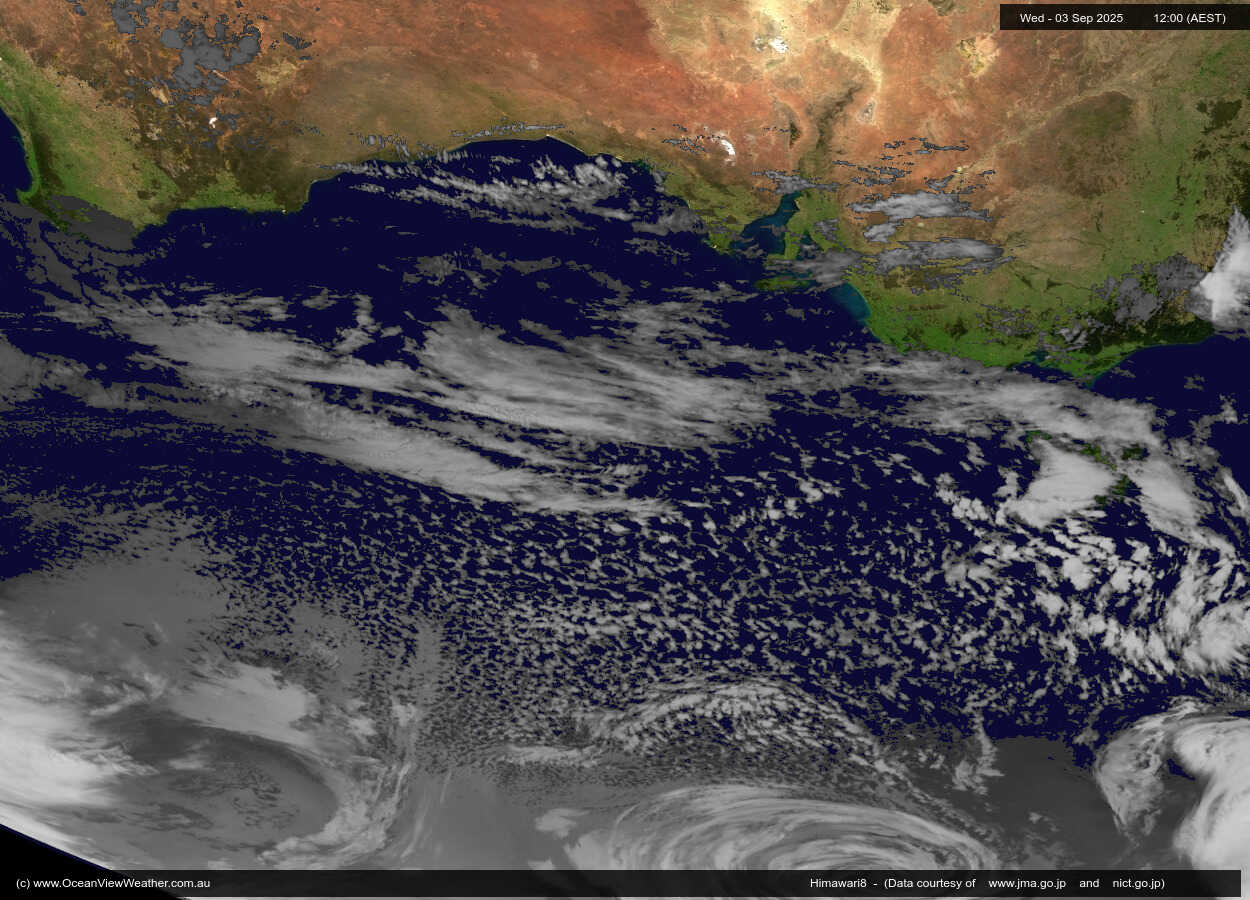 Australian Bight03-09-2025-1204.jpg