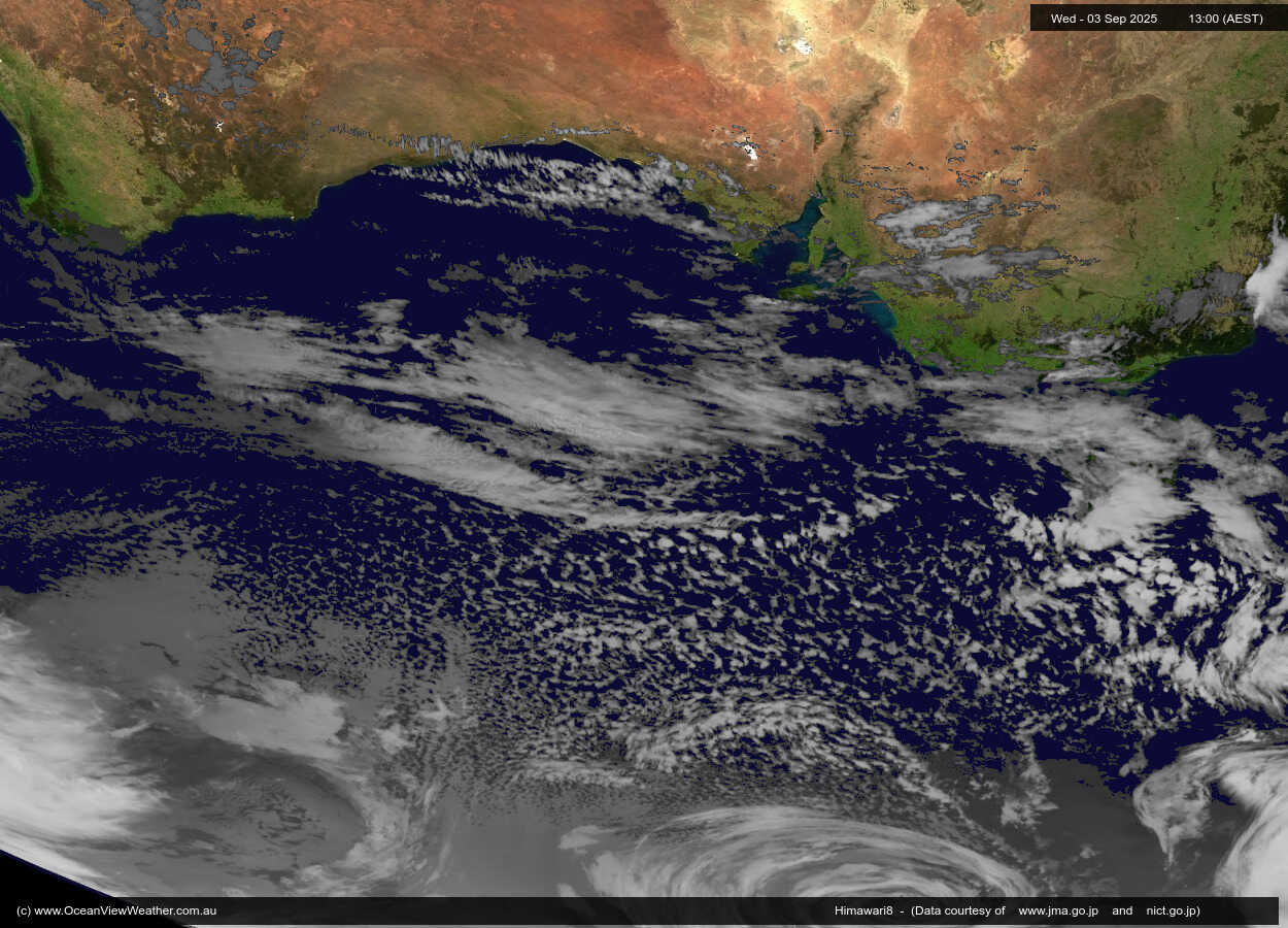 Australian Bight03-09-2025-1304.jpg